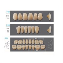 Kaili - зубы акриловые, верхние T10/нижние L10, цвет B4, размер *36M, коробка 4х28 шт B4T10/L10/*36M_Kaili