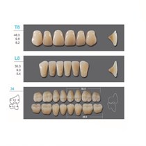Kaili - зубы акриловые, верхние T8/нижние L8, цвет B3, размер 34, коробка 4х28 шт B3T8/L8/34_Kaili