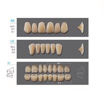 Kaili - зубы акриловые, верхние S6/нижние L6, цвет B3, размер 32, коробка 4х28 шт B3S6/L6/32_Kaili