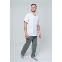 Брюки мужские TZ610, серый, 54 TZ610-GRY-54