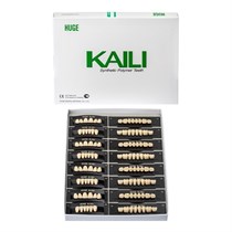 Зубы акриловые Kaili 28*1/ D2 S4 1 уп. (4 гарн.), D2S4/L4/30_Kaili D2S4/L4/30_Kaili
