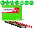 Сharisma Сlassic Syr Kit Набор 8x4г+ Gluma2Bond 0001914677 - фото 440149