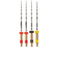 Reciproc файлы L25 ассорти (R25x2шт, R40x1шт R50x1шт) / v040012025200, VDW 0001911783 - фото 448088