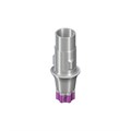 Абатмент Variobase® RB/WB для коронки, диаметр 3.8мм, высота десны 1.5мм, высота абатмента 5.5мм, с винтом 062.4934 - фото 453132