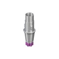 Абатмент Variobase® RB/WB, для коронки, диаметр 3.8мм, высота десны 2.5мм, высота абатмента 5.5мм, с винтом 062.4935 - фото 453133