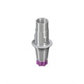 Абатмент Variobase®  RB/WB, для коронки, диаметр 4.5мм, высота десны 2.5мм, высота абатмента 5.5мм, с винтом, 062.4945 - фото 453136