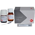 Produits Dentaires SA Granulotec -паста для постоянной обтурации инфицированных корневых каналов, 20 г+15 мл 11571 - фото 458797