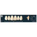 Ivocryl Set A-D - набор фронтальных верхних зубов, UOK12 B2, 6 шт 630630 - фото 461490