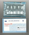 Колапол КП ЛМ 10 фрагментов 20 х 8 х 7 мм (линкомицин и метронидазол) st931966 - фото 467920