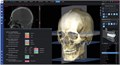 Программное обеспечение Planmeca Romexis 3D Cephalometric Analysis, лицензия на 1 пользователя FE004915 - фото 472562