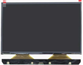 LCD-матрица для 3D принтера PioNext DJ89 LCD - фото 474149