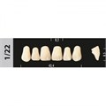 Зубы Major A3 1/22, 28 шт (Super Lux). st874844 - фото 479454