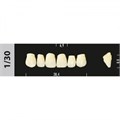 Зубы Major A3 1/30, 28 шт (Super Lux). st348191 - фото 479456