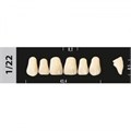 Зубы Major A2 1/22, 28 шт (Super Lux). st683316 - фото 479466