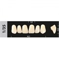 Зубы Major A3,5 1/35, 28 шт (Super Lux). st398804 - фото 479471