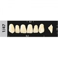 Зубы Major A1 1/47, 28 шт (Super Lux). st183620 - фото 479557
