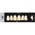 Зубы Major A1 53, 28 шт (Super Lux). st618059 - фото 479569