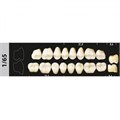 Зубы Major A2 1/65 жевательный низ, 8 шт (Super Lux). st222881 - фото 479572