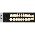 Зубы Major A3 1/74 жевательный низ, 8 шт (Super Lux). st124846 - фото 479584
