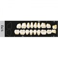 Зубы Major A3,5 1/72 жевательный низ, 8 шт (Super Lux). st579433 - фото 479594