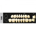 Зубы Major A4 79N жевательный низ, 8 шт (Super Lux). st745617 - фото 479597