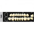 Зубы Major A4 76N жевательный низ, 8 шт (Super Lux). st696476 - фото 479602
