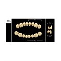 Зубы Yeti A3 SMA жевательный верх (Tribos) 8 шт. 22203 - фото 479635
