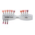 IPS e.max Ceram Gingiva Shade Guide - расцветка десневых масс 602464 - фото 479748