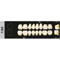 Зубы Major A1 1/60 жевательный низ, 8 шт (Super Lux). st638860 - фото 479838