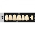 Зубы Major A3,5 62, 28 шт (Super Lux). st56157 - фото 479859