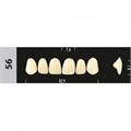 Зубы Major A3,5 56, 28 шт (Super Lux). st21791 - фото 479873