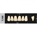Зубы Major A4 1/44, 28 шт (Super Lux). st411857 - фото 479895