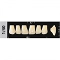 Зубы Major A4 1/40, 28 шт (Super Lux). st174123 - фото 479896