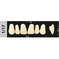 Зубы Major B2 1/17, 28 шт (Super Lux). st29768 - фото 479930