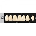 Зубы Major B2 62, 28 шт (Super Lux). st766713 - фото 479957