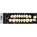 Зубы Major B3 76N жевательный низ, 8 шт (Super Lux). st552551 - фото 480004