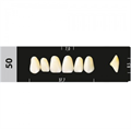 Зубы Major B4 50, 28 шт (Super Lux) st489802 - фото 480033