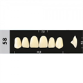 Зубы Major B4 58, 28 шт (Super Lux) st91919 - фото 480034