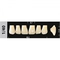 Зубы Major C1 1/40, 28 шт (Super Lux) st481372 - фото 480065