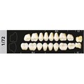 Зубы Major D2 1/72 жевательный верх, 8 шт (Super Lux) st469196 - фото 480209