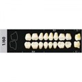 Зубы Major D4 1/60 жевательный низ, 8 шт (Super Lux) st192613 - фото 480285