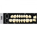 Зубы Major D4 76N жевательный низ, 8 шт (Super Lux) st481243 - фото 480292