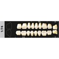 Зубы Major D2 1/74 жевательный верх, 8 шт (Super Lux) st412274 - фото 480334