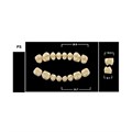 Зубы Yeti A3 PS жевательный низ (Tribos) 8 шт. 20303 - фото 480363