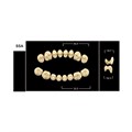 Зубы Yeti A3 SSA жевательный низ (Tribos) 8 шт. 22503 - фото 480370