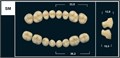 Зубы Yeti A4 SM жевательный верх (Tribos) 8 шт. 21005 - фото 480399