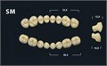 Зубы Yeti BL3 SM жевательный низ (Tribos) 8 шт. 21117 - фото 480546