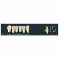 Ivocryl Set A-D - набор фронтальных нижних зубов, LUK56 C1, 6 шт 630893 - фото 480954