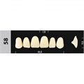 Зубы Major D4 58, 28 шт (Super Lux) st406721 - фото 481613