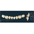 Ivocryl Set A-D - набор боковых нижних зубов, LUK30 A2, 8 шт 631005 - фото 481691